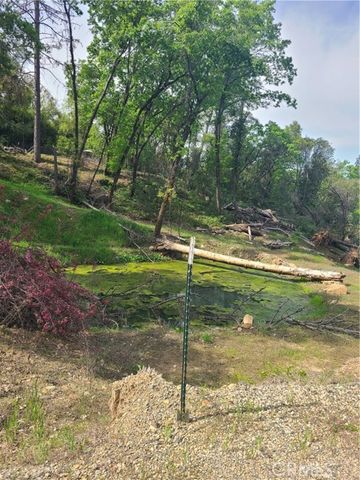 15811 Vierra Road, Rackerby, CA 95972