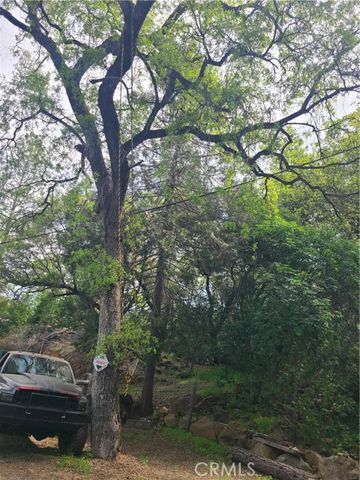 15811 Vierra Road, Rackerby, CA 95972