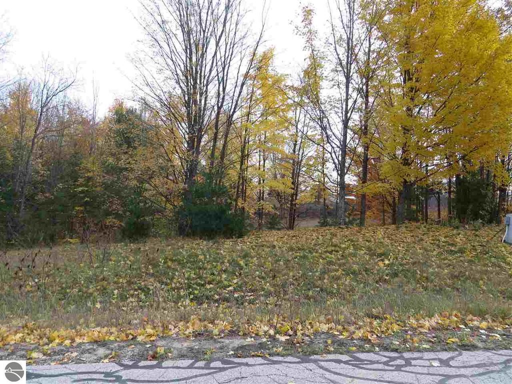 Image 1 of property listing at Lot 64 Eden Street, Kingsley, MI 49649