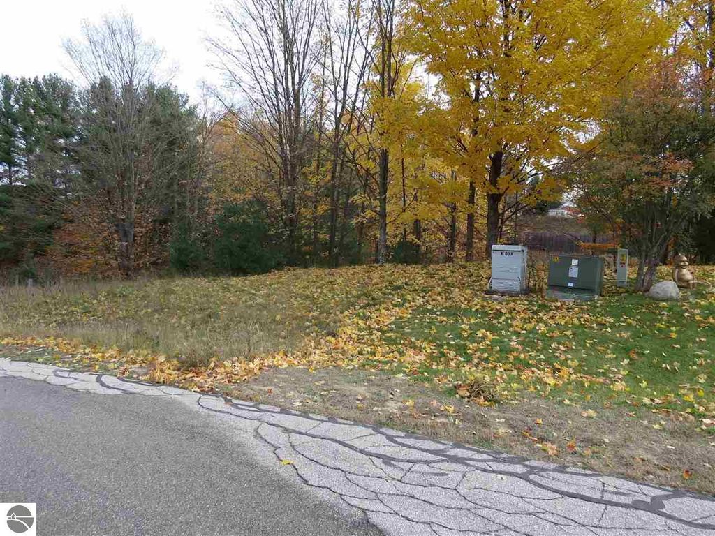 Image 2 of property listing at Lot 64 Eden Street, Kingsley, MI 49649