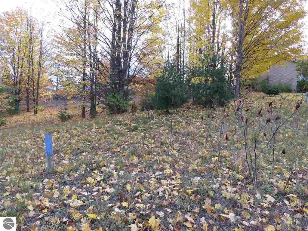 Image 3 of property listing at Lot 64 Eden Street, Kingsley, MI 49649