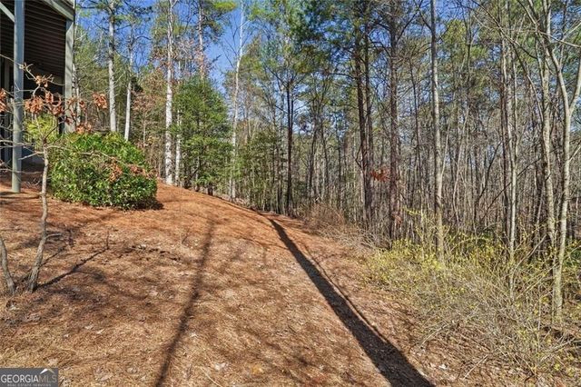 131 Sycamore Trail, Big Canoe, GA 30143