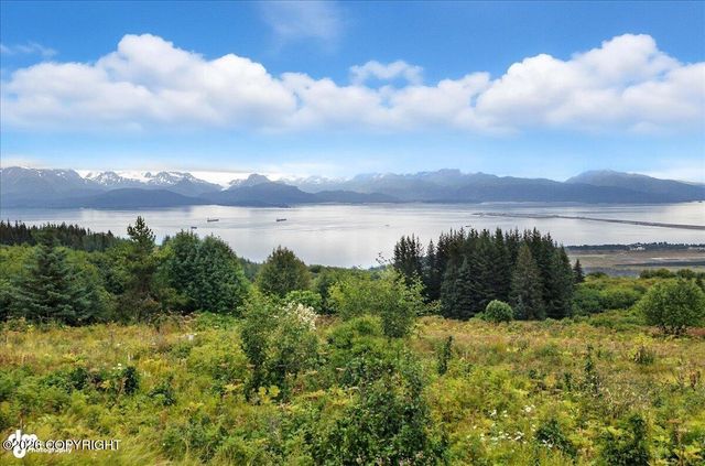 62479 Skyline Drive, Homer, AK 99603