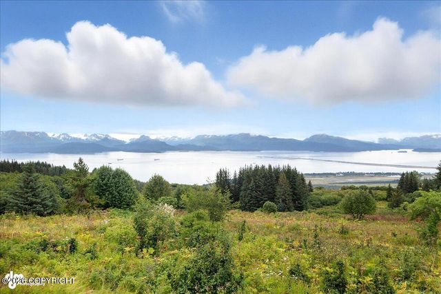 62479 Skyline Drive, Homer, AK 99603