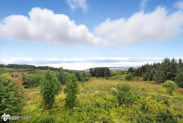 62479 Skyline Drive, Homer, AK 99603