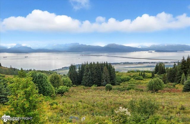 62479 Skyline Drive, Homer, AK 99603