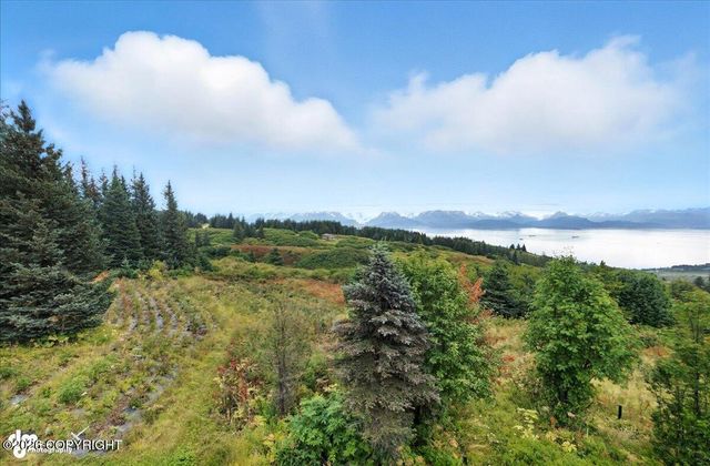 62479 Skyline Drive, Homer, AK 99603