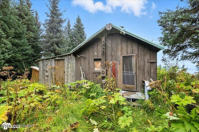 62479 Skyline Drive, Homer, AK 99603