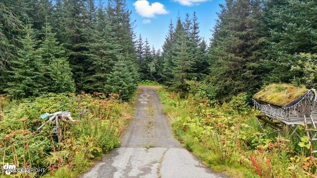 62479 Skyline Drive, Homer, AK 99603