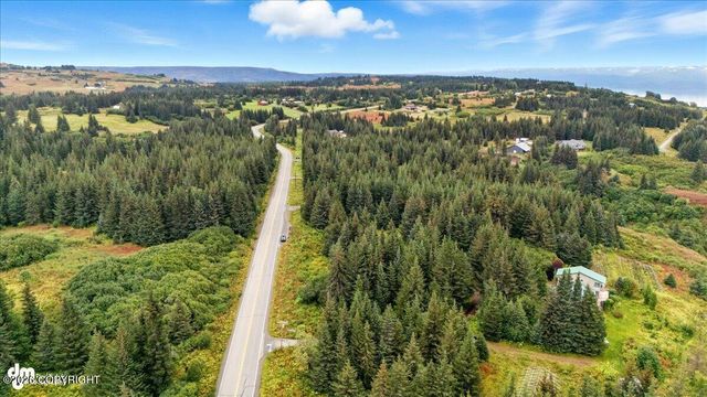 62479 Skyline Drive, Homer, AK 99603