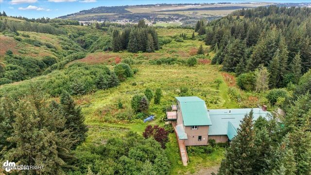 62479 Skyline Drive, Homer, AK 99603