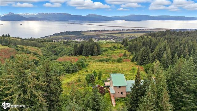 62479 Skyline Drive, Homer, AK 99603