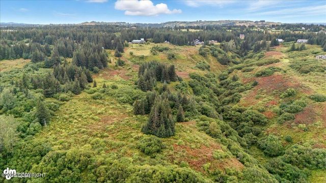 62479 Skyline Drive, Homer, AK 99603