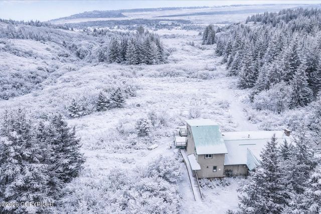 62479 Skyline Drive, Homer, AK 99603