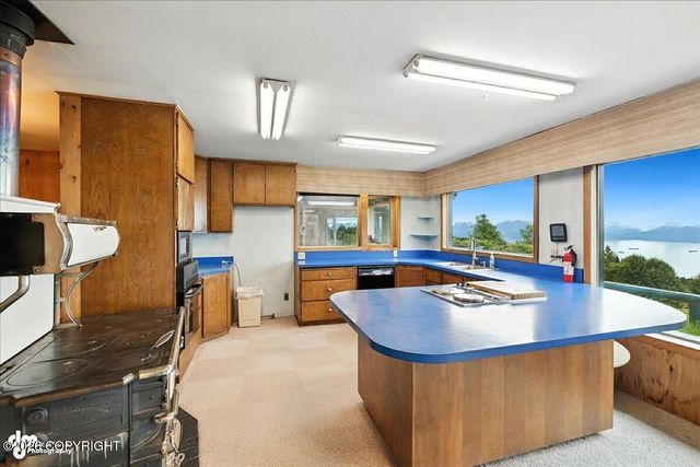 62479 Skyline Drive, Homer, AK 99603