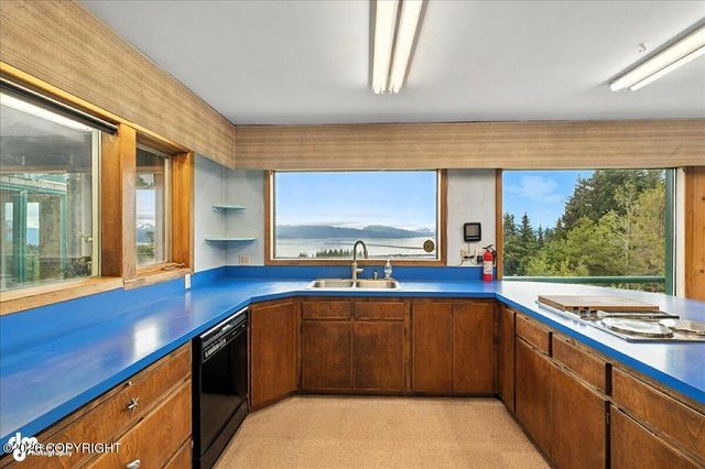 62479 Skyline Drive, Homer, AK 99603