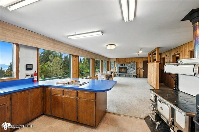 62479 Skyline Drive, Homer, AK 99603