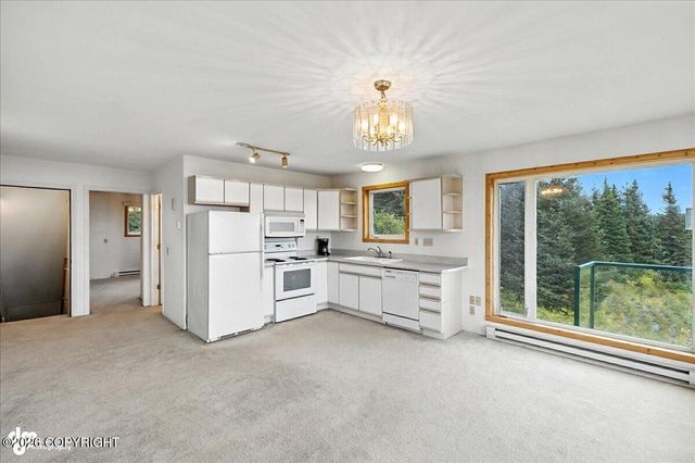 62479 Skyline Drive, Homer, AK 99603