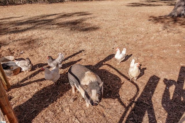 101 Callaham Drive, Belton, SC 29627