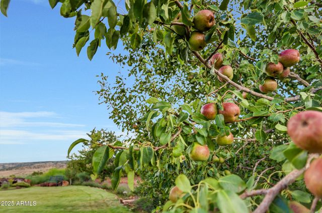 14 COUNTY ROAD 5309 --, Concho, AZ 85924