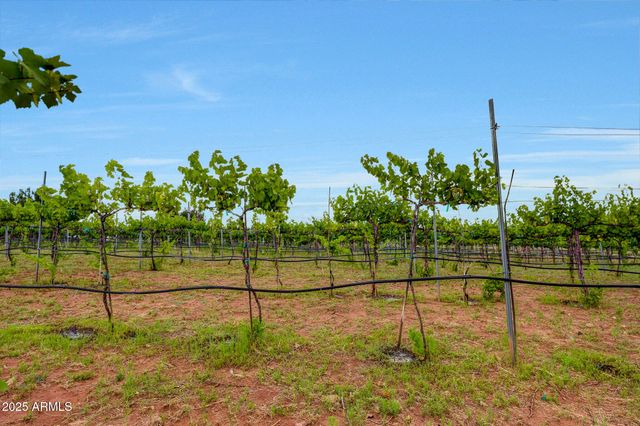 14 COUNTY ROAD 5309 --, Concho, AZ 85924