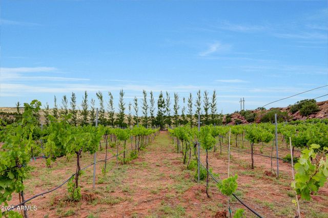 14 COUNTY ROAD 5309 --, Concho, AZ 85924