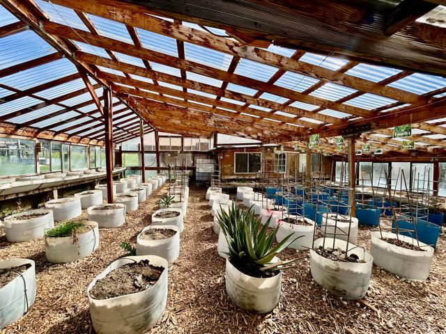 13990 N Applegate Road, Applegate, OR 97530