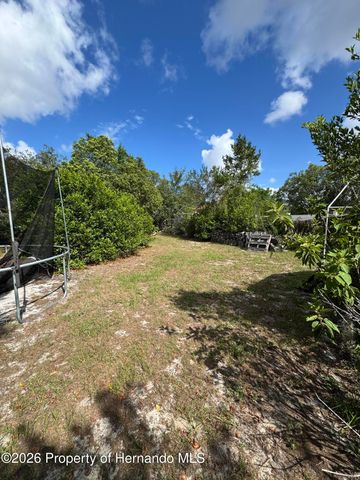 12169 Genter Drive, Spring Hill, FL 34609