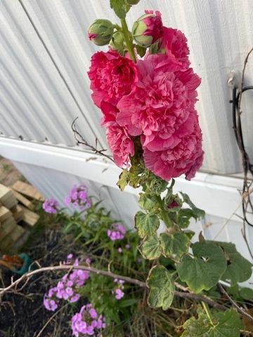 3517 Pinewood Trail, Holton, MI 49425