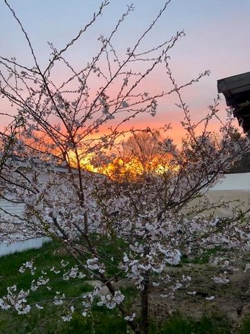 3517 Pinewood Trail, Holton, MI 49425