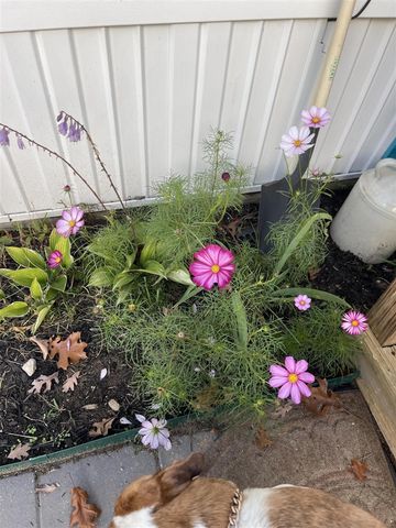 3517 Pinewood Trail, Holton, MI 49425