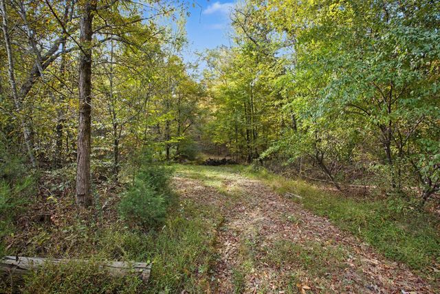 10878 Highway 7, Primm Springs, TN 38476