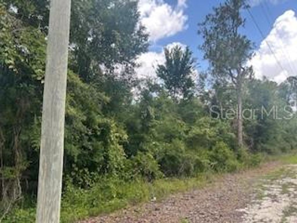 Image 3 of property listing at HARDSTONE DRIVE, Webster, FL 33597