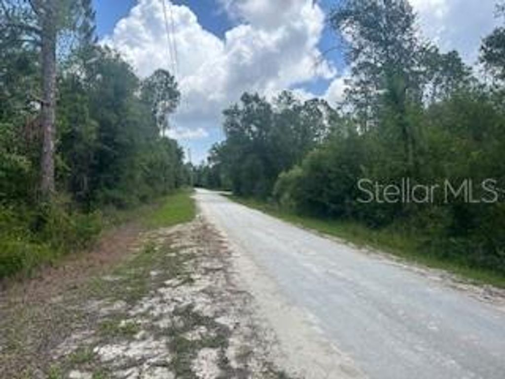 Image 4 of property listing at HARDSTONE DRIVE, Webster, FL 33597