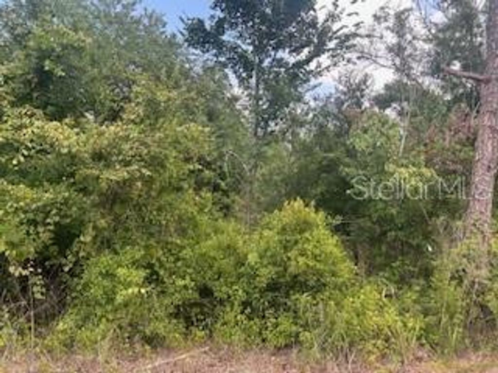 Image 5 of property listing at HARDSTONE DRIVE, Webster, FL 33597