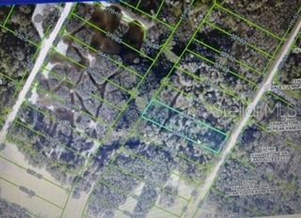 Image 6 of property listing at HARDSTONE DRIVE, Webster, FL 33597