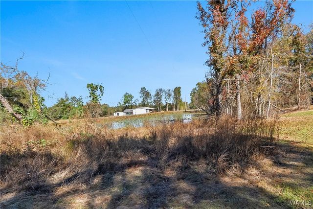 436 Dairy Farm, Moundville, AL 35474