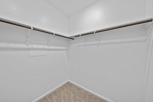 2910 Rockwood Drive, Rosharon, TX 77583