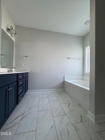 20 E Sand Luggs Court, Angier, NC 27501