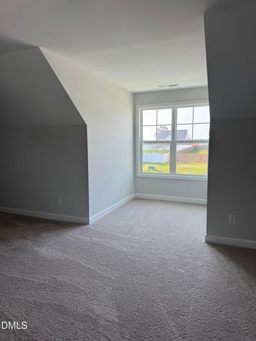 20 E Sand Luggs Court, Angier, NC 27501