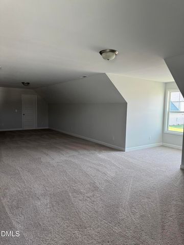 20 E Sand Luggs Court, Angier, NC 27501