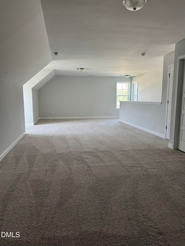 20 E Sand Luggs Court, Angier, NC 27501
