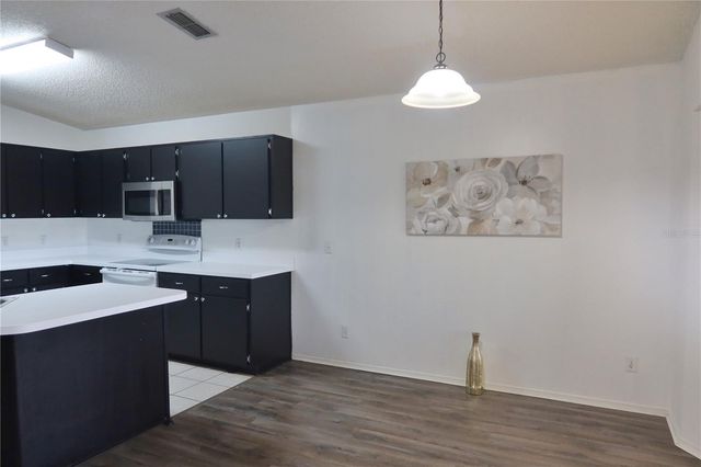 12821 LOWER RIVER BOULEVARD, Orlando, FL 32828