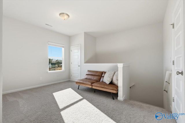 159 Story Ray Drive, New Market, AL 35761