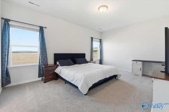 159 Story Ray Drive, New Market, AL 35761