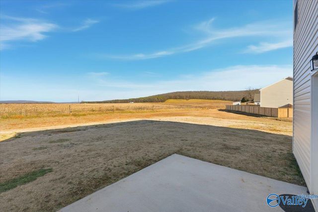 159 Story Ray Drive, New Market, AL 35761