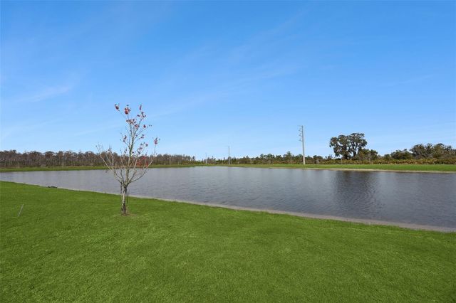 11408 SATIRE STREET, Orlando, FL 32832