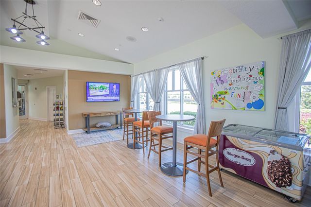 11408 SATIRE STREET, Orlando, FL 32832