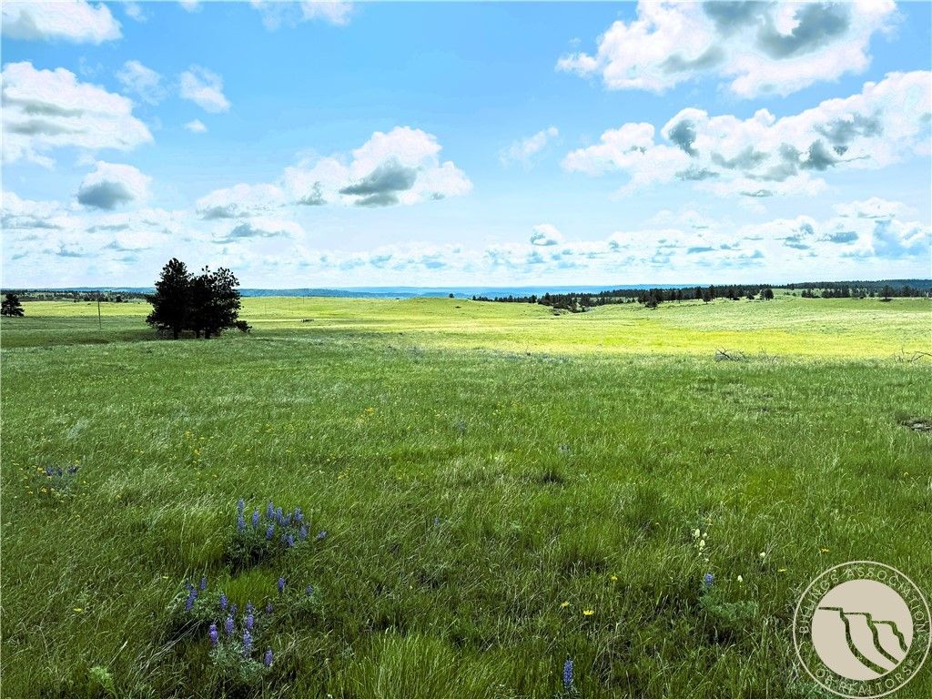 tbd Deadmans Canyon Rd, Reed Point, MT 59601 photo 10