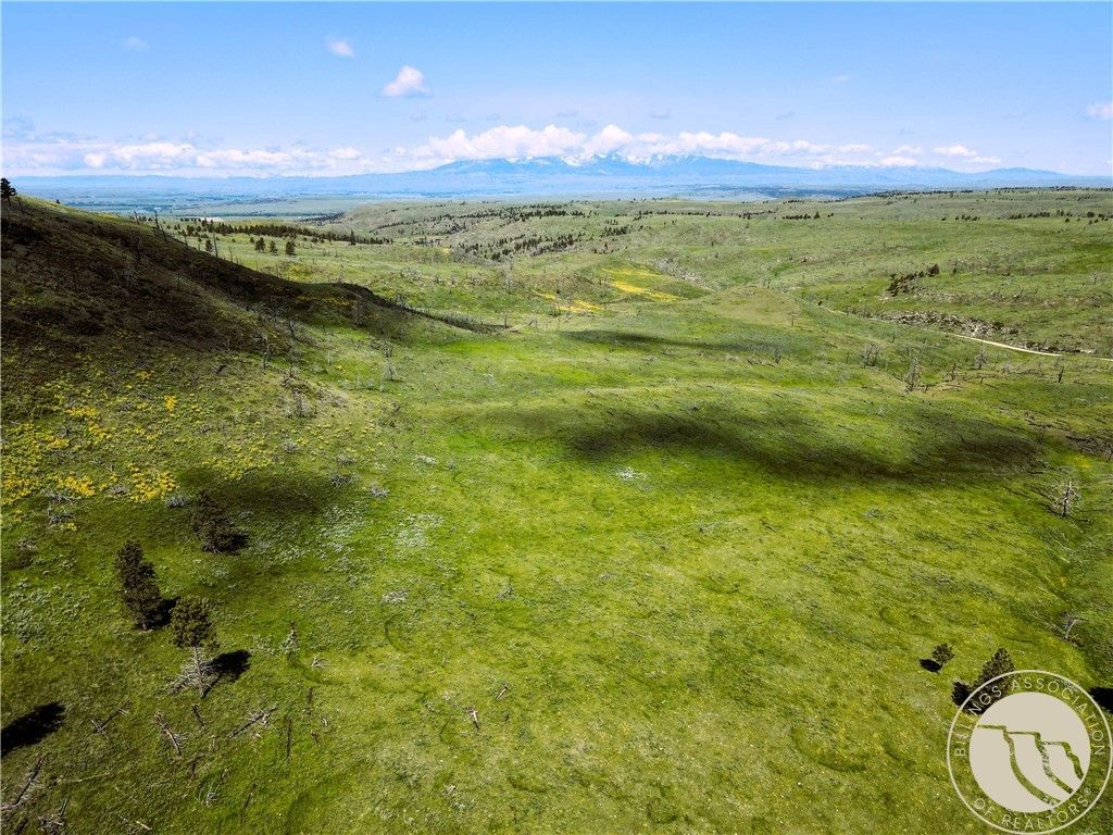 tbd Deadmans Canyon Rd, Reed Point, MT 59601 photo 4